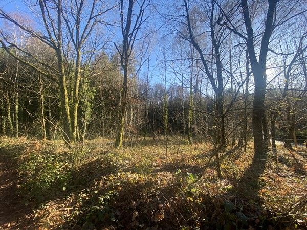 BEYNAT : vente Terrain 0 - vignette 1