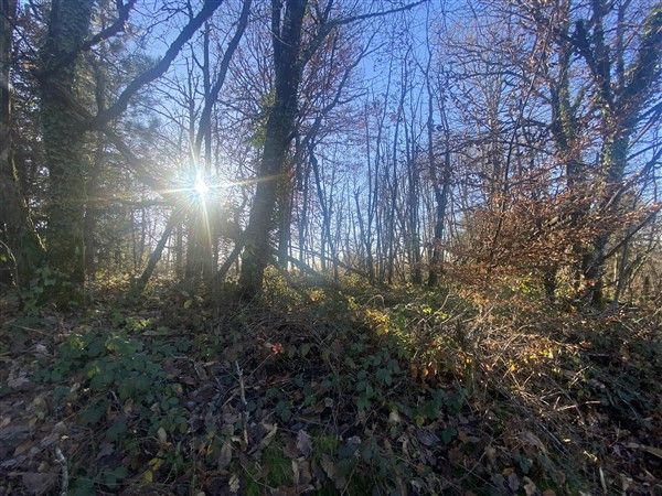 BEYNAT : vente vente  - grande image 2