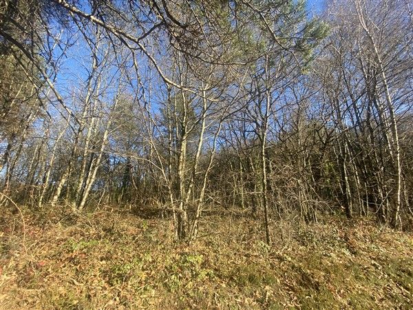 BEYNAT : vente vente  - grande image 2