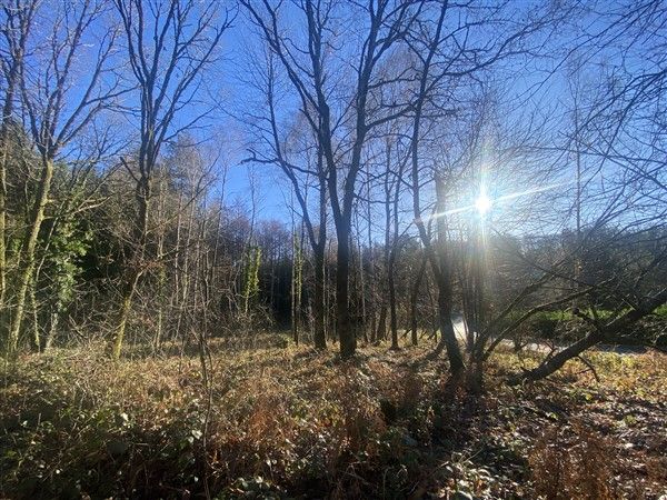 BEYNAT : vente vente  - grande image 3