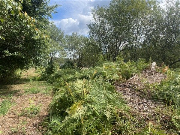 ROSIERS D'EGLETONS : vente vente  - grande image 3