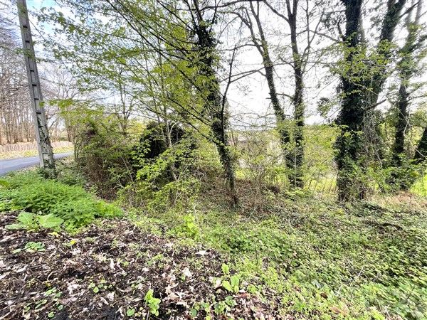 USSAC : vente vente  - grande image 3