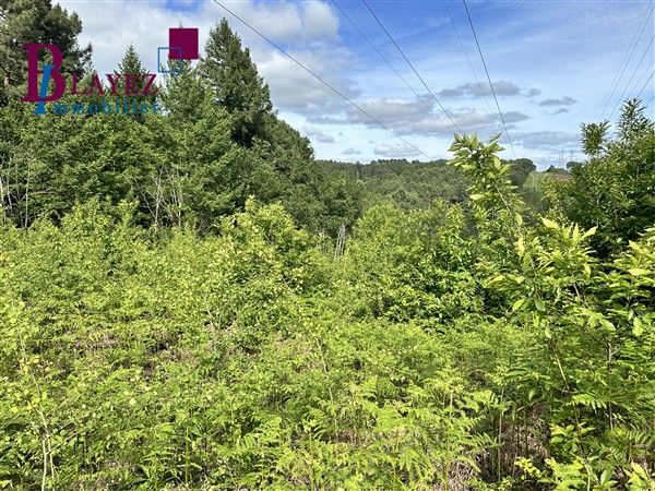 SAINTE FEREOLE : vente Terrain 0 - vignette 1