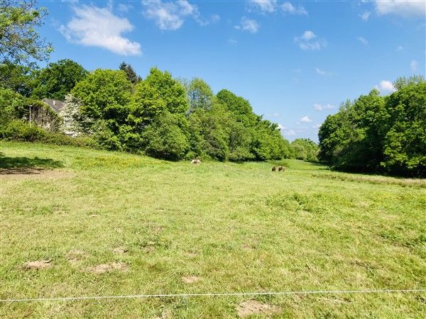 ENTRE TULLE ET SAINTE FORTUNADE : vente Terrain 0 - vignette 1