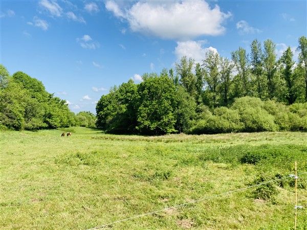 ENTRE TULLE ET SAINTE FORTUNADE : vente vente  - grande image 2