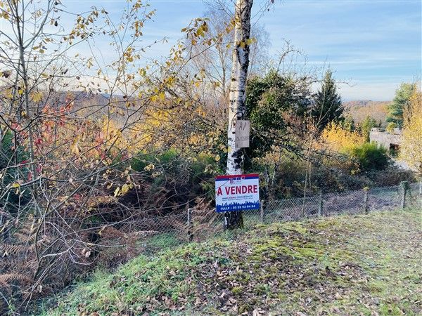 Ladignac Sur Rondelles : vente Terrain 0 - vignette 1