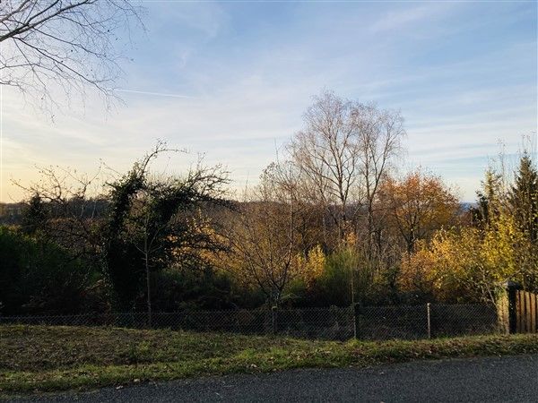 Ladignac Sur Rondelles : vente vente  - grande image 3