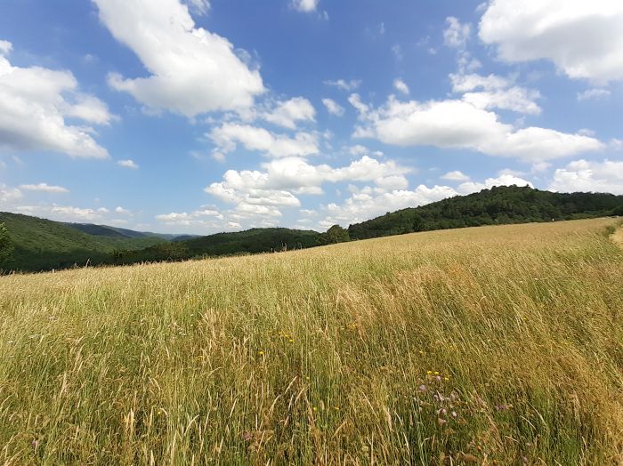 ARGENTAT SUR DORDOGNE : vente Terrain 0 - vignette 1