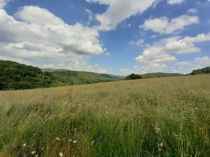 ARGENTAT SUR DORDOGNE : vente vente  - grande image 2