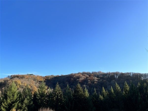 Aubazines : vente vente  - grande image 5