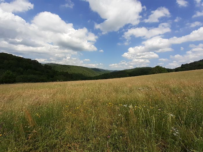 Argentat-Sur-Dordogne : vente Terrain 0 - vignette 1