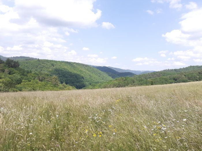 Argentat-Sur-Dordogne : vente vente  - grande image 2