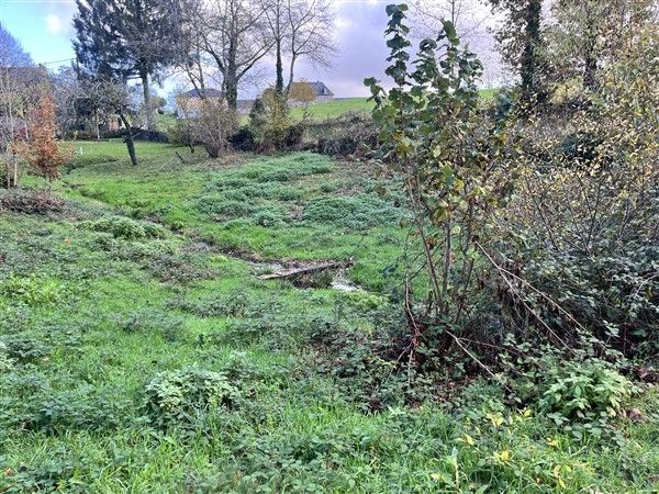 Saint Augustin : vente vente  - grande image 4