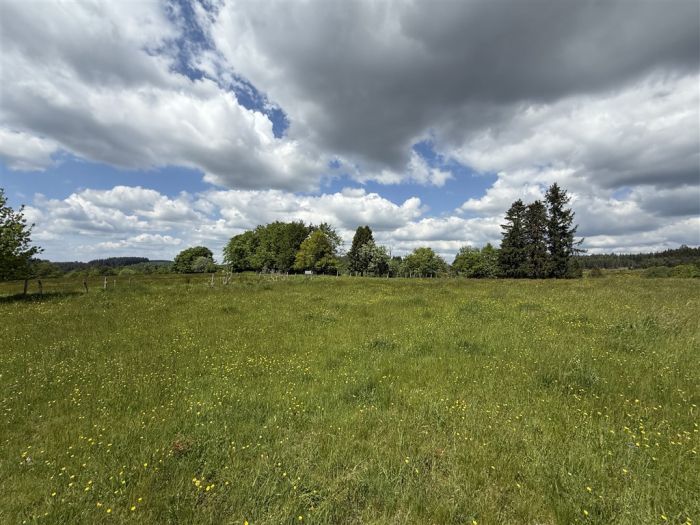 Commune de Meymac, Plateau Millevaches : vente vente de 4 pi&egrave;ces - grande image 3