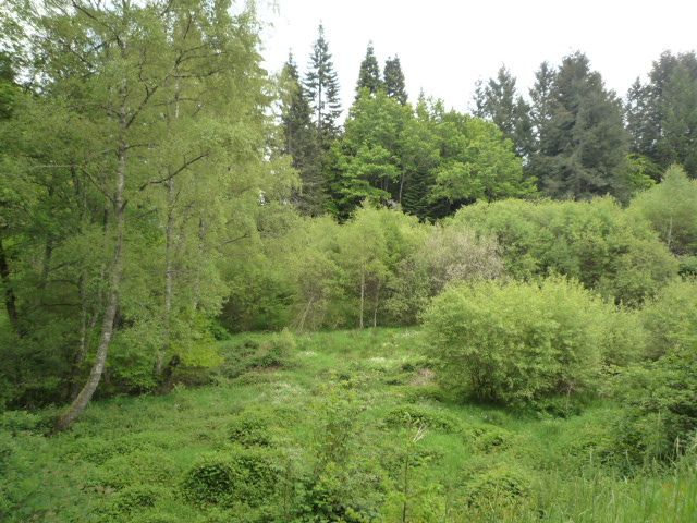 Plateau de Millevaches : vente vente de 5 pi&egrave;ces - grande image 2