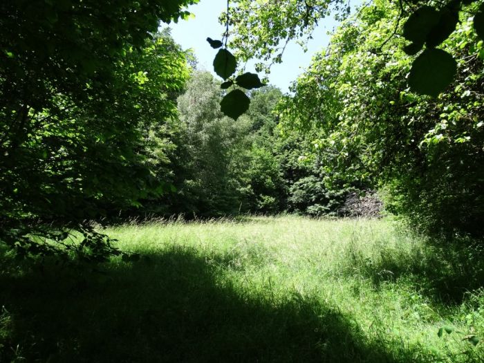 Proche Meymac : vente vente de 2 pi&egrave;ces - grande image 10